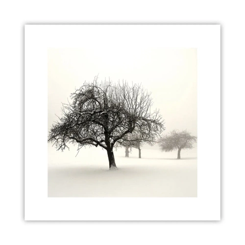 Poszter - Téli álom - 30x30 cm