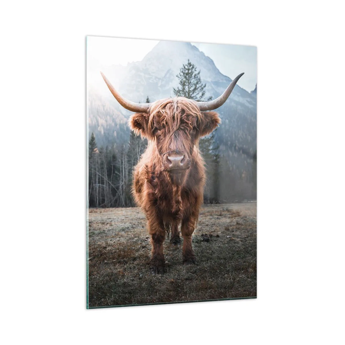 Üveg kép - Üdvözlet a hegyi rétről - 50x70 cm