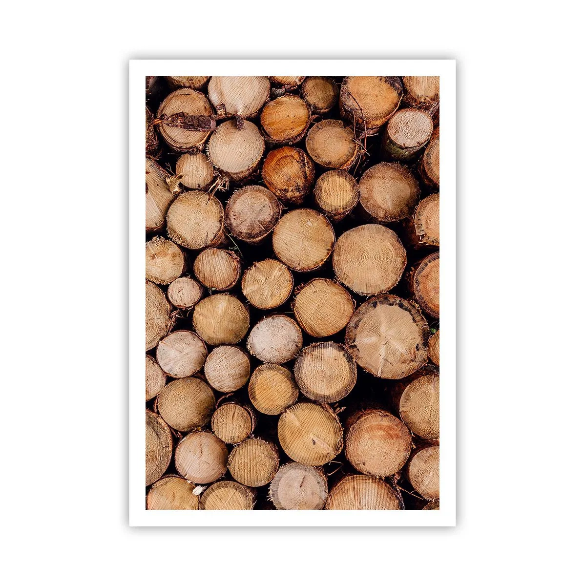 Poszter - Egy új kezdet - 70x100 cm