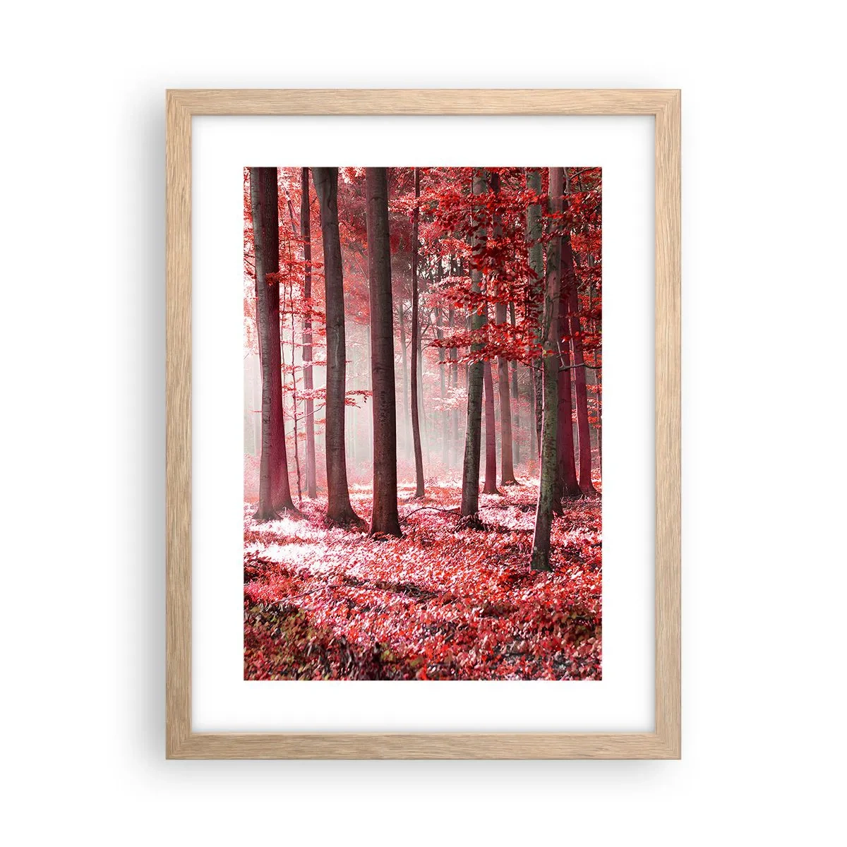Poszter világos tölgy keretben - A piros különösen szép - 30x40 cm