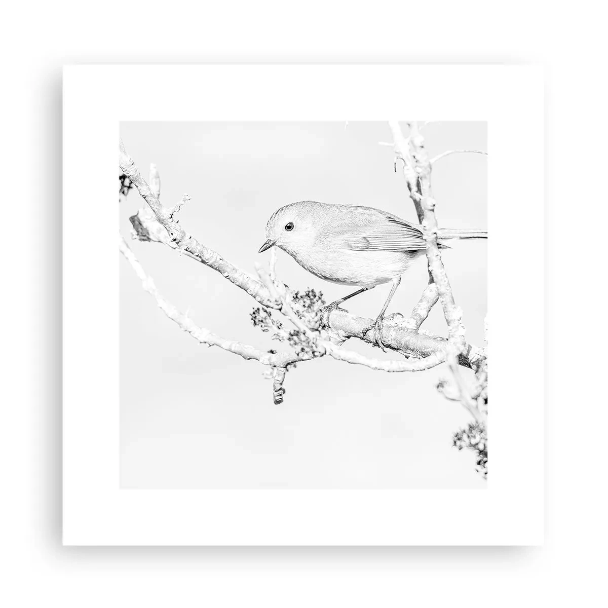 Poszter - Téli reggel - 30x30 cm