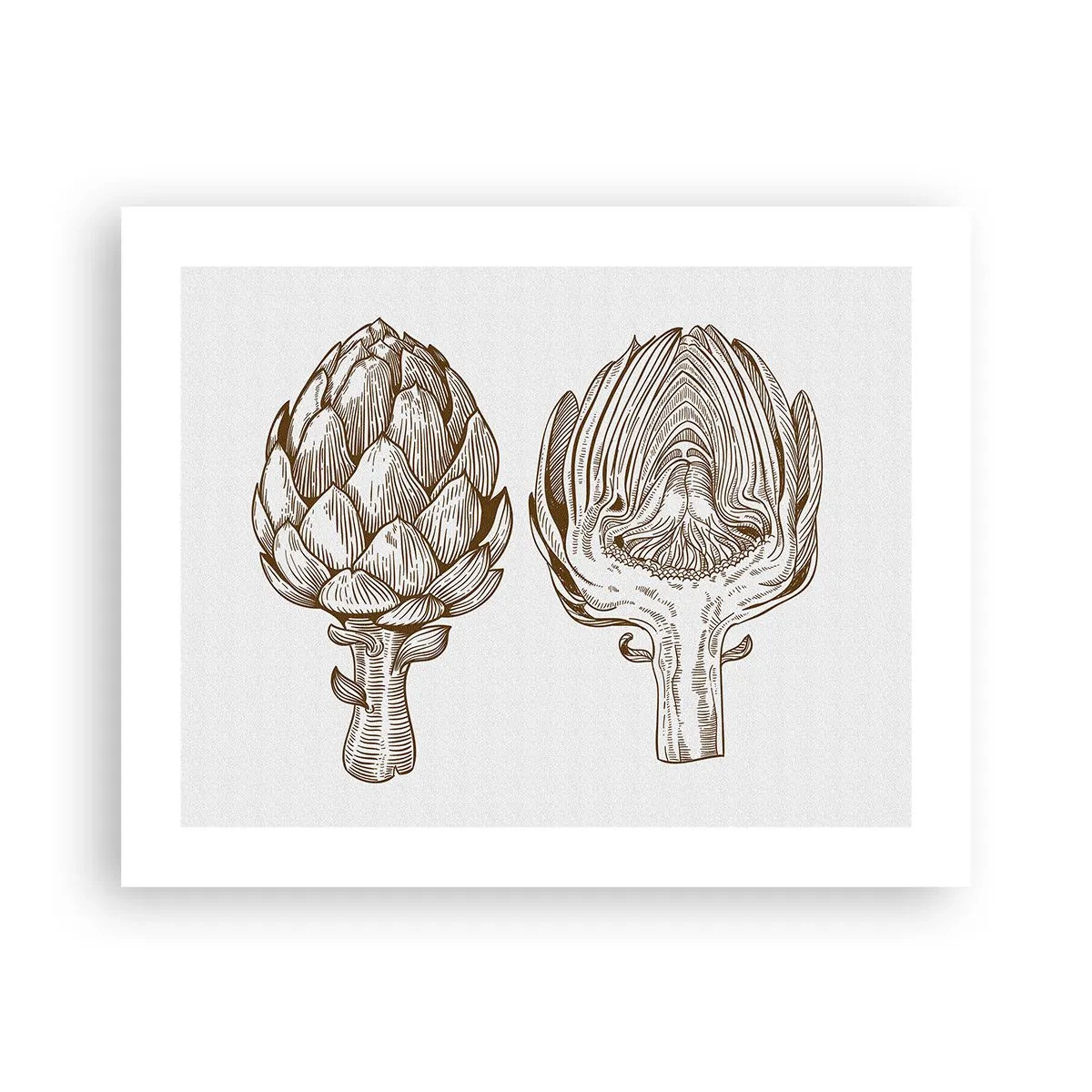 Poszter - Anatómia lecke - 50x40 cm