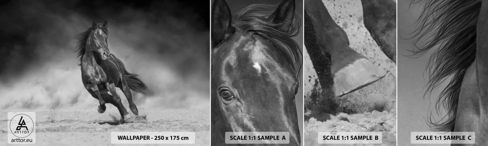 Fotótapéta Minta Standard Eco - Az emírhez méltó - Ló, Állatok, Természet - 100x30 cm