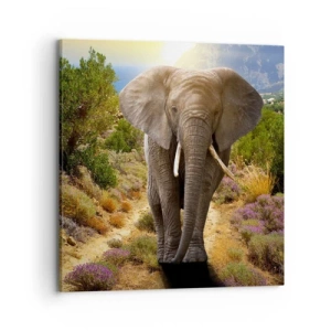 Vászonkép - Így nézett ki Eden - 70x70 cm