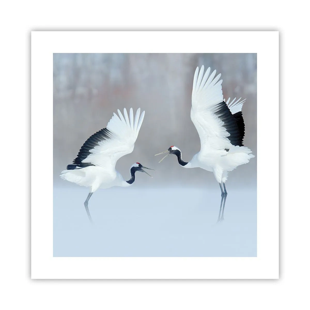 Poszter - Tánc a ködben - 40x40 cm