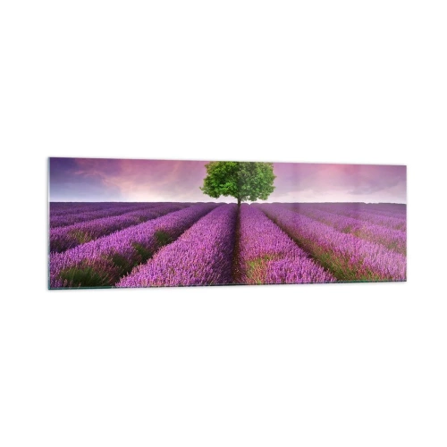 Üveg kép - Levendulaföldeken - 160x50 cm