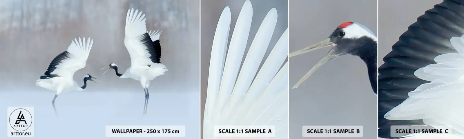 Fotótapéta Minta Öntapadós Deluxe Sticker - Tánc a ködben - Téli, Madár, Természet - 100x30 cm