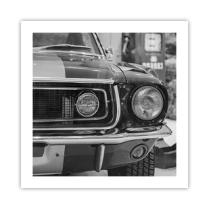 Poszter - Vad utazás - 50x50 cm