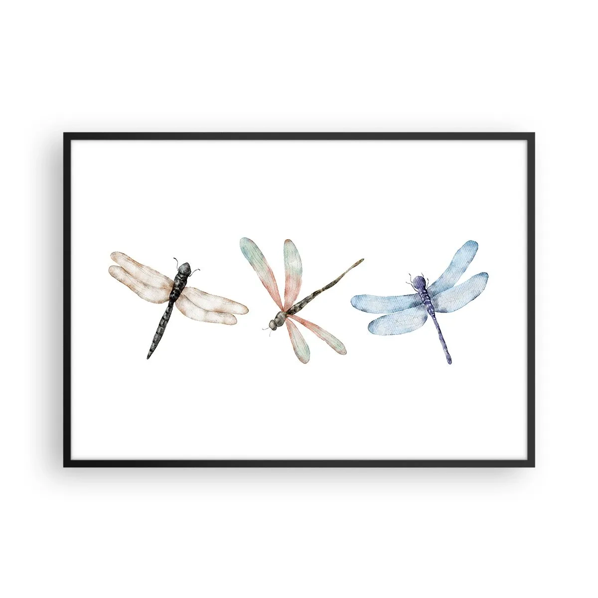 Poszter fehér keretben - Súlytalan szitakötők - 100x70 cm