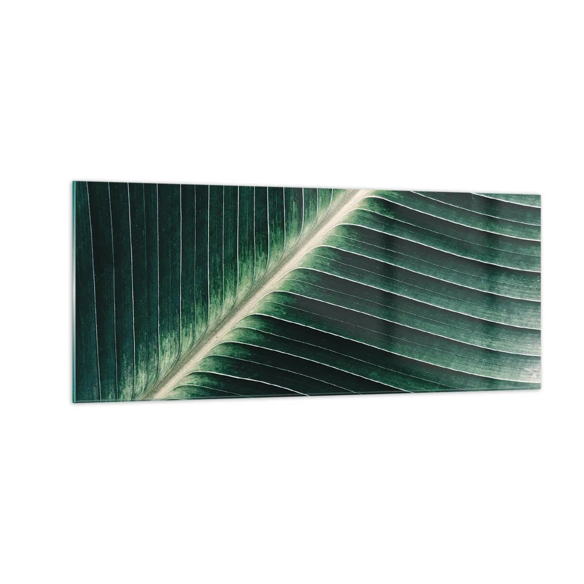 Üveg kép - A természet ritmusa - 100x40 cm