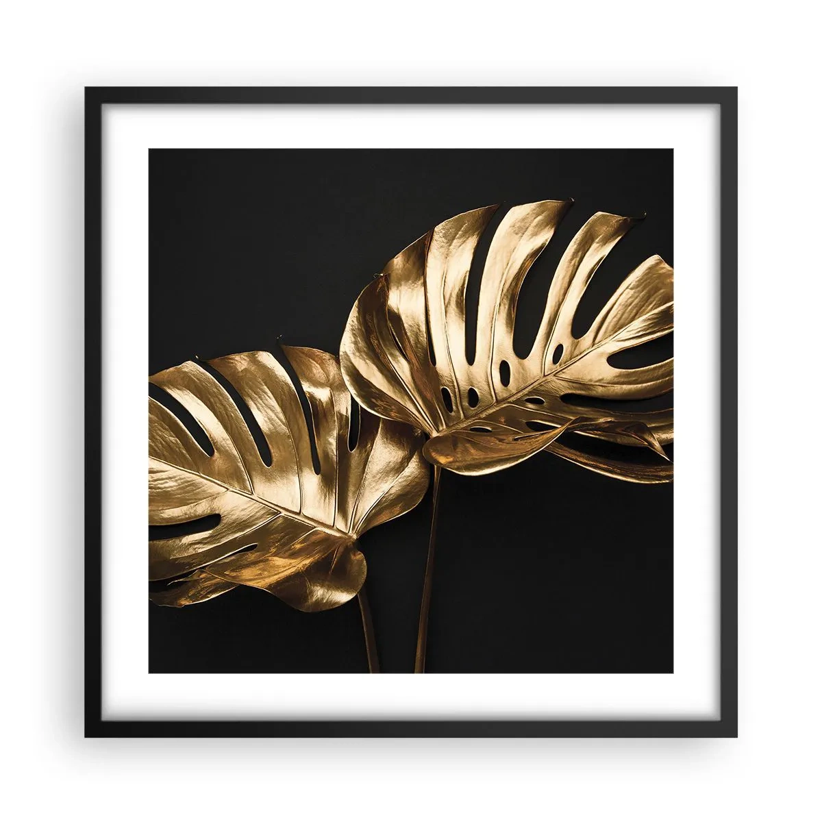 Poszter fehér keretben - A természet kincsei - 50x50 cm