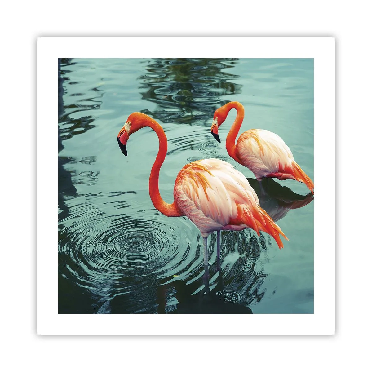 Poszter - Most divatban vagyunk - 50x50 cm