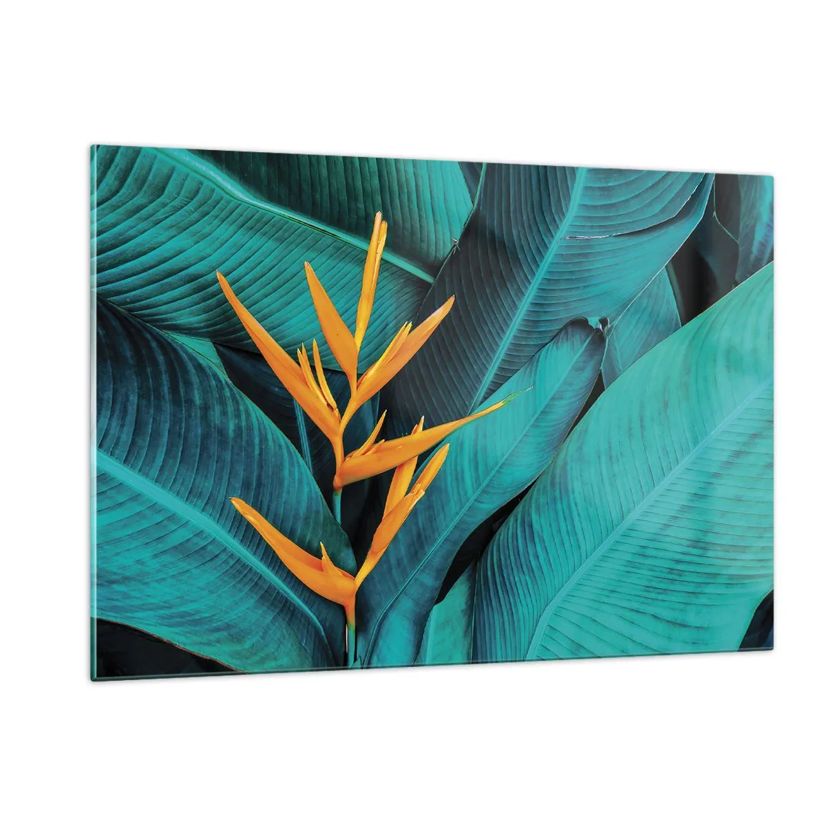 Üveg kép - Éden virága - 120x80 cm