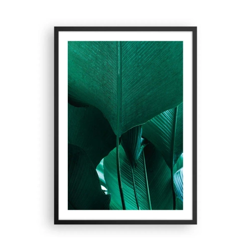 Poszter fehér keretben - Nagy zöld levelek közeli képe, amelyek szerkezetét és textúráját mutatják. - 50x70cm - A fény felé nézve - Modern fali dekoráció nappalihoz és hálószobához ARTTOR