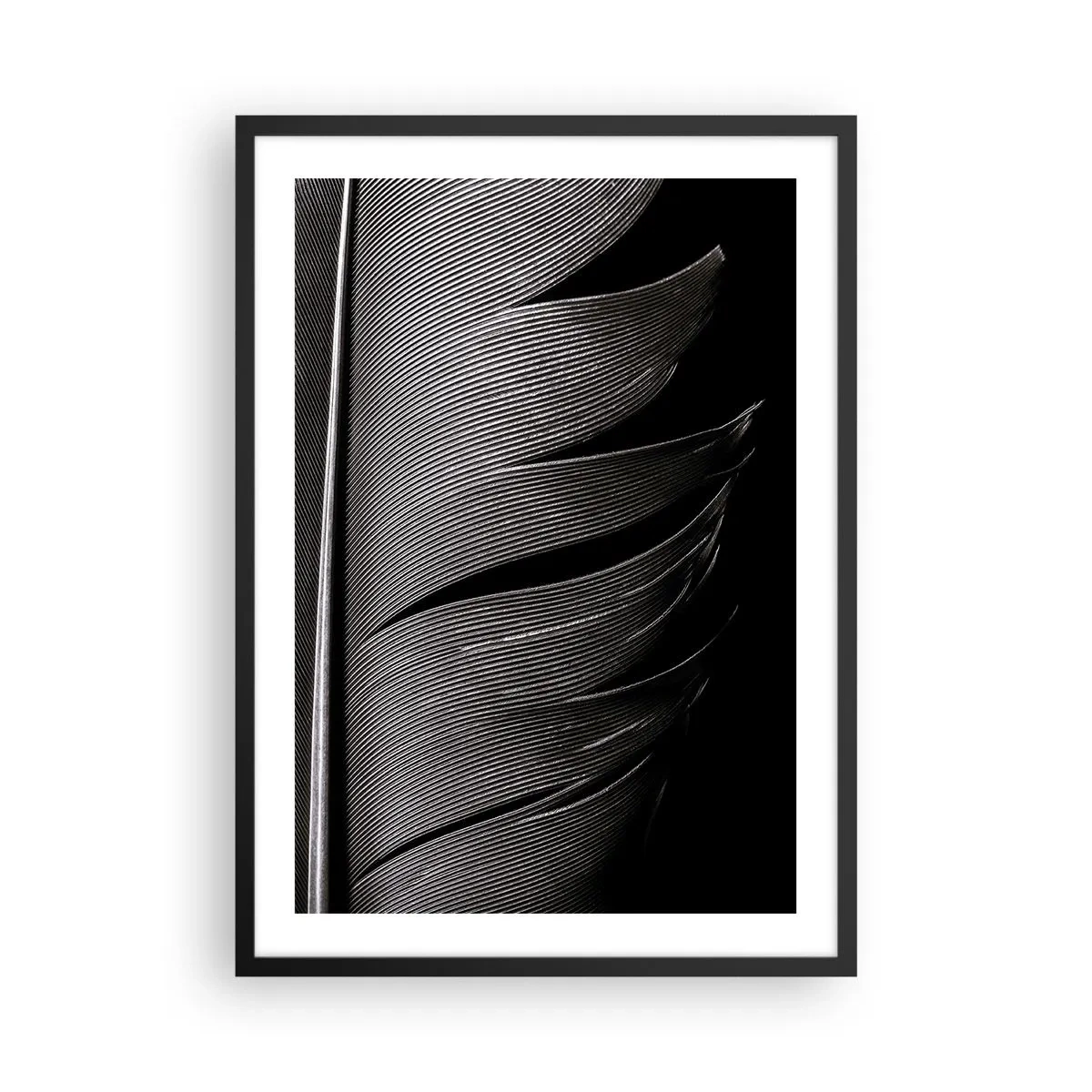 Poszter fehér keretben - Minimalista feldolgozás egy fekete-fehér tollpihéről - 50x70cm - Toll - egy csodálatos konstrukció - Modern fali dekoráció nappalihoz és hálószobához ARTTOR