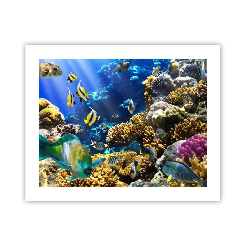 Poszter - Nagy forgalom a nyaraló ösvényen - 50x40 cm