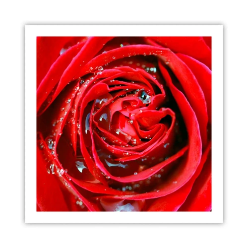 Poszter - A harmatcseppekben - 60x60 cm