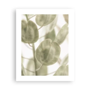 Poszter - Kezdetben levelek voltak... - 40x50 cm