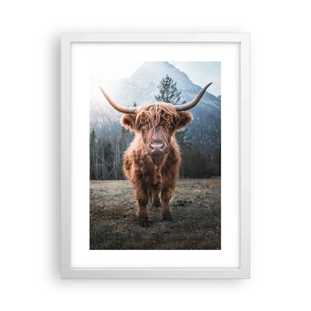 Poszter fekete keretben - Üdvözlet a hegyi rétről - 30x40 cm