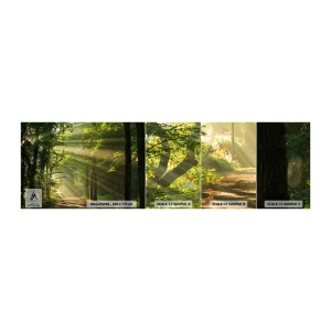 Fotótapéta Minta Standard Eco - Erdei pillanat - Tájkép, Erdő, Természet - 100x30 cm