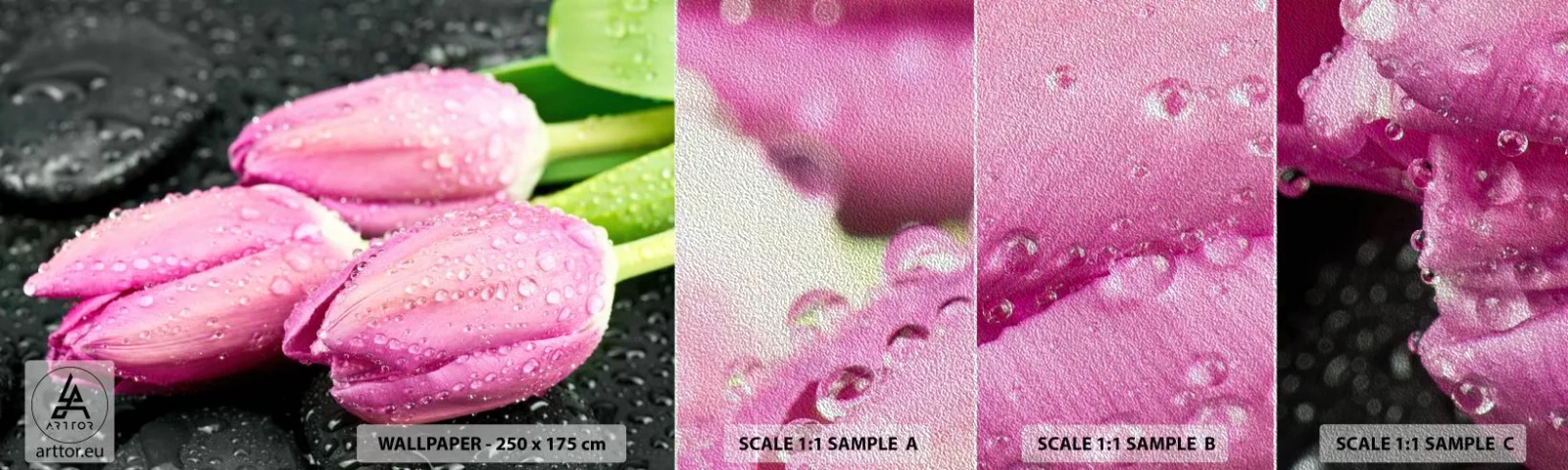 Fotótapéta Minta Premium Sand - Lila hármas a fekete kövön - Virágok, Tulipánok, Csokor virág - 100x30 cm