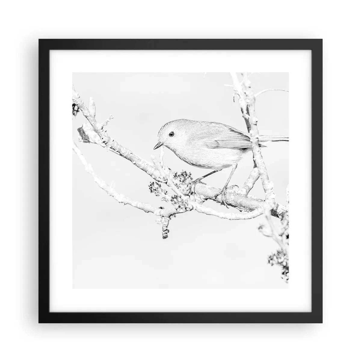 Poszter fehér keretben - Téli reggel - 40x40 cm