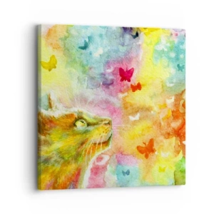 Vászonkép - Baju-baju a macskaparadicsomban - 30x30 cm