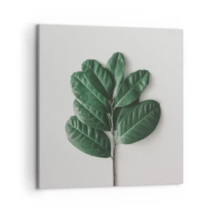 Vászonkép - Rajz csak a természetről - 50x50 cm