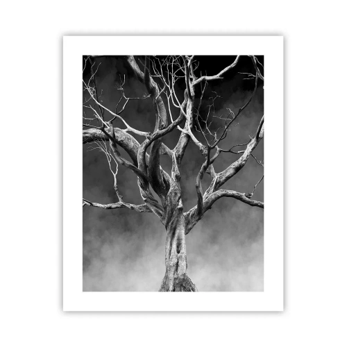 Poszter - Ősi és szent - 40x50 cm