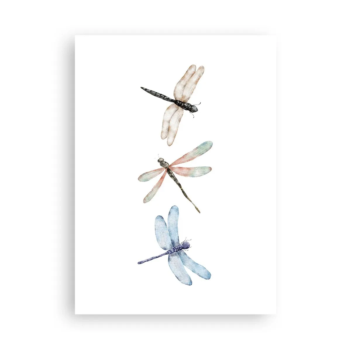 Poszter - Súlytalan szitakötők - 50x70 cm