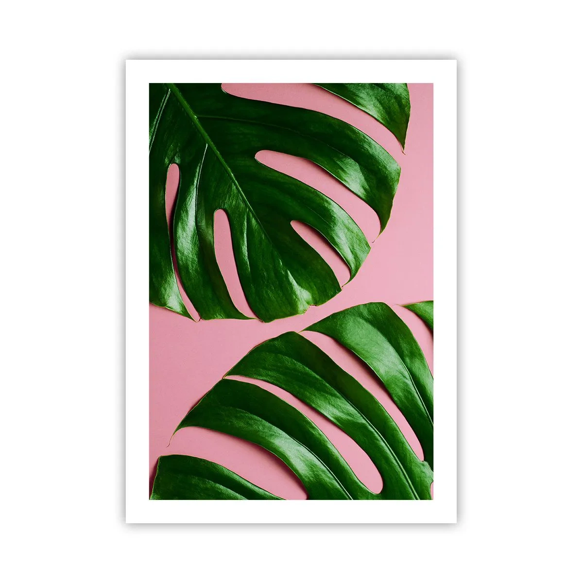 Poszter - Zöld rendez-vous - 50x70 cm