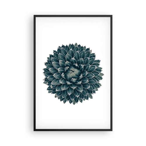 Poszter fehér keretben - A sivatag csillaga - 61x91 cm