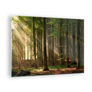 Üveg kép - Napsugarak sütnek át az erdő fái között - 70x50cm - Ragyogó tavaszi reggelen - Modern fali dekoráció nappalihoz és hálószobához ARTTOR