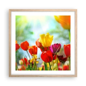 Poszter világos tölgy keretben - A nap minden színe - 50x50 cm