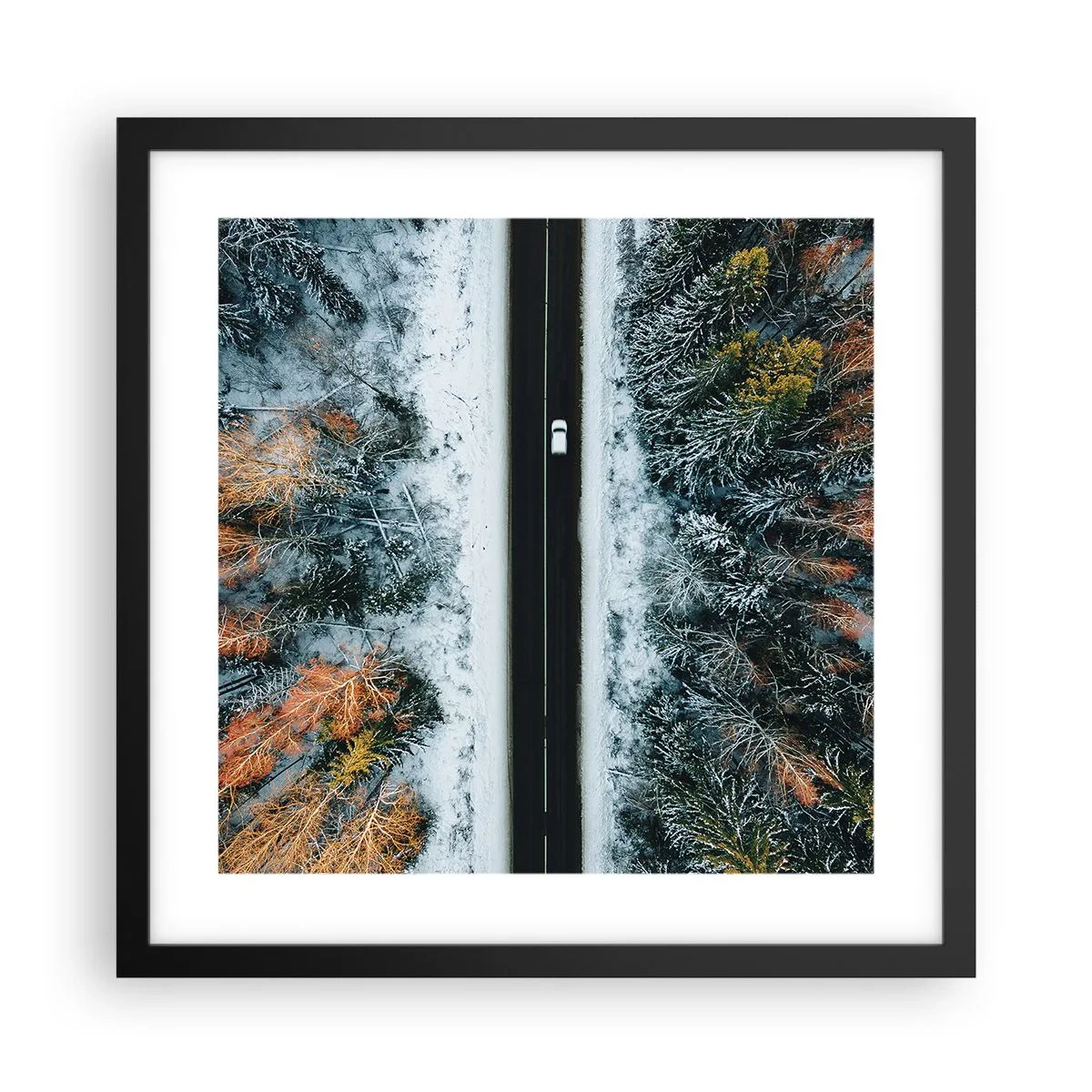 Poszter fehér keretben - Átvágni a téli erdőn - 40x40 cm