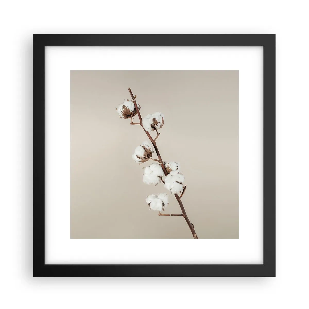 Poszter fehér keretben - A puhaság forrásánál - 30x30 cm