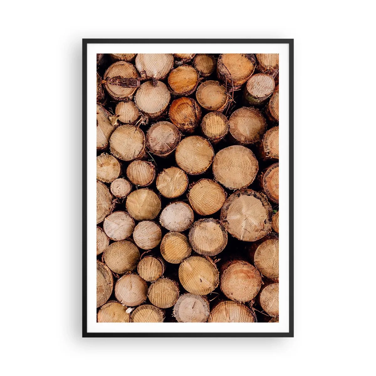 Poszter fehér keretben - Egy új kezdet - 70x100 cm