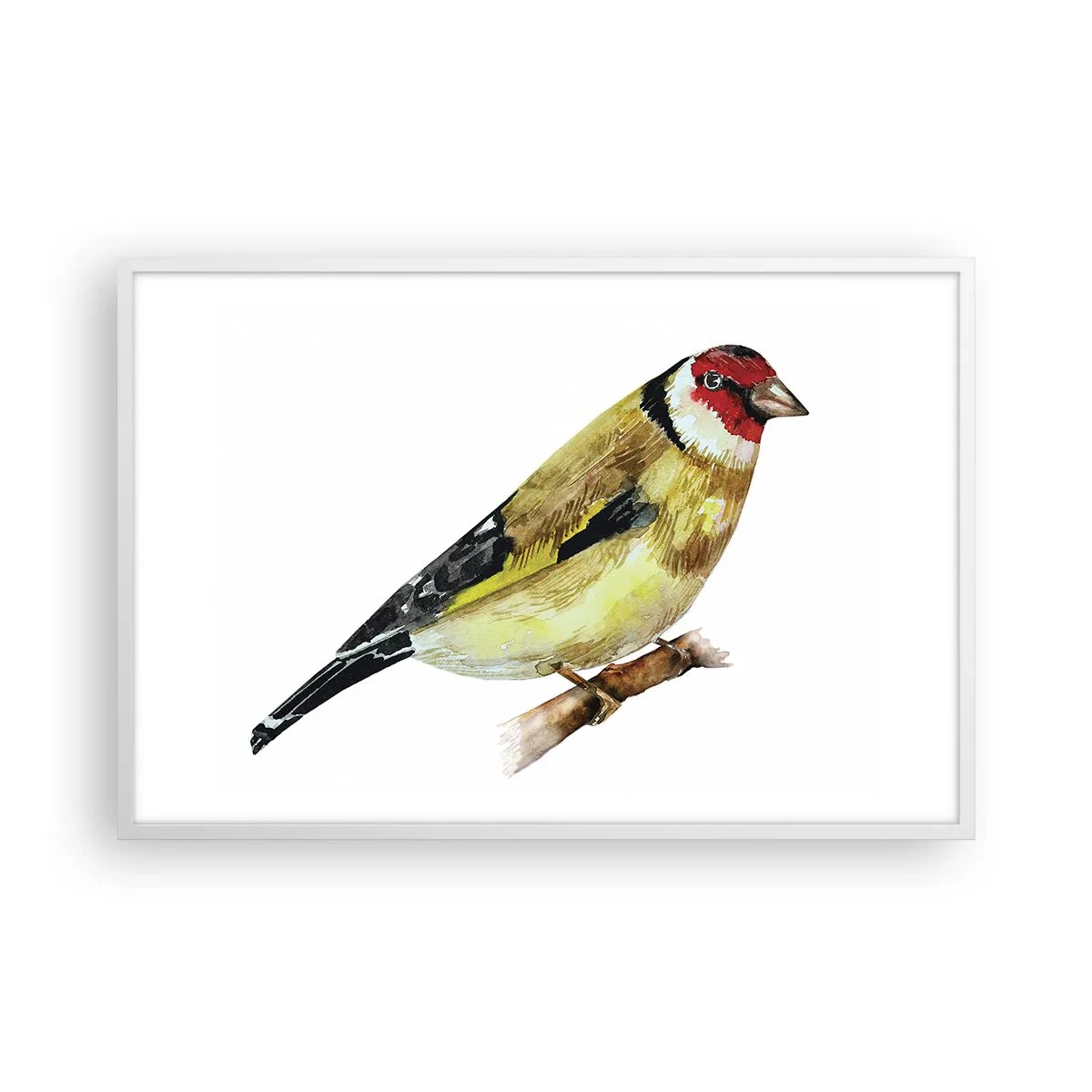 Poszter fekete keretben - Madárportré - 91x61 cm