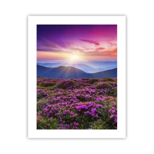 Poszter - A gyógynövények friss fürtjei illatoztak a mezőkről - 40x50 cm