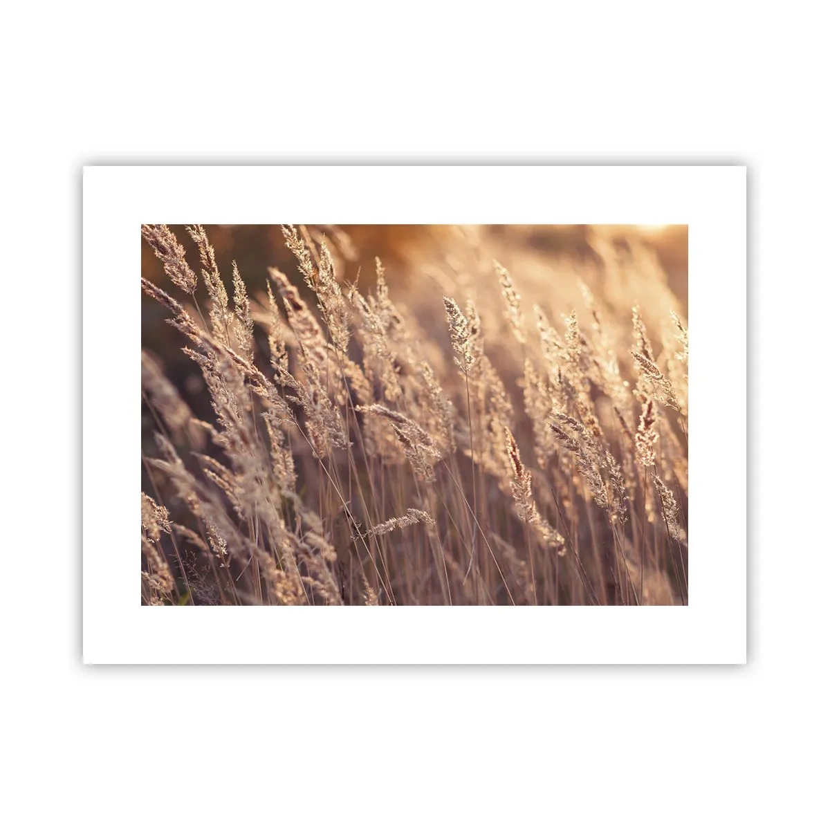 Poszter - Készen az ősz fogadására - 40x30 cm