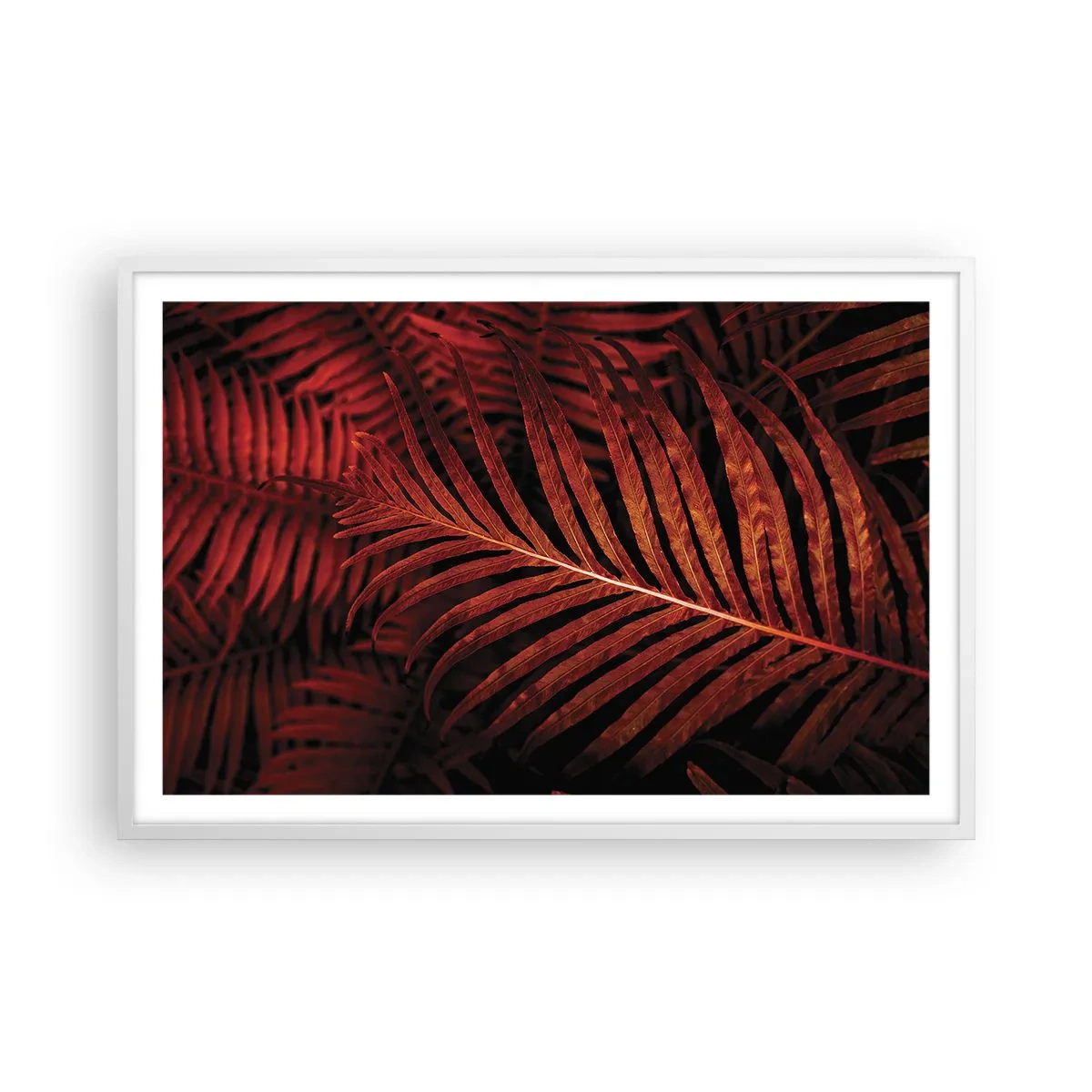 Poszter fekete keretben - Az élet vörös színe - 91x61 cm