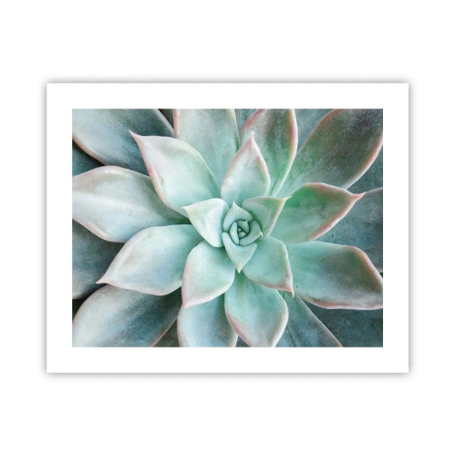 Poszter - A sivatag szíve - 50x40 cm