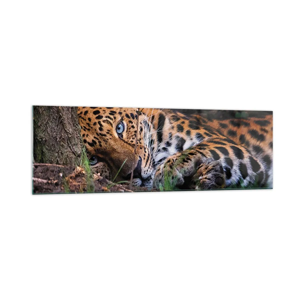 Üveg kép - Bízz bennem - 160x50 cm