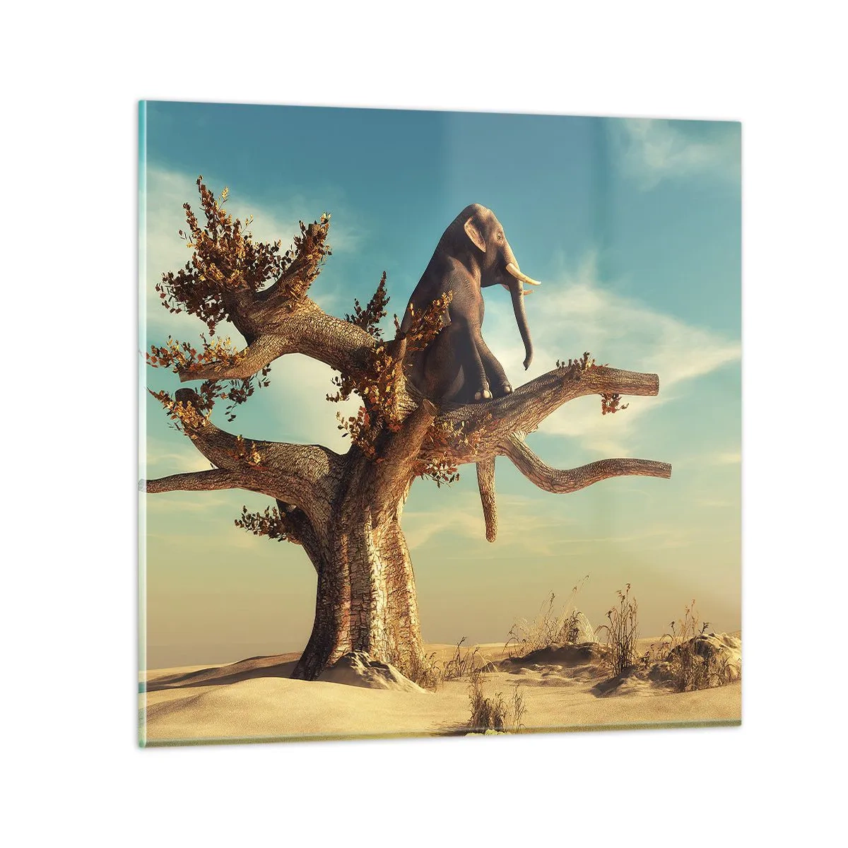 Üveg kép - Egy új nézőpont - 40x40 cm