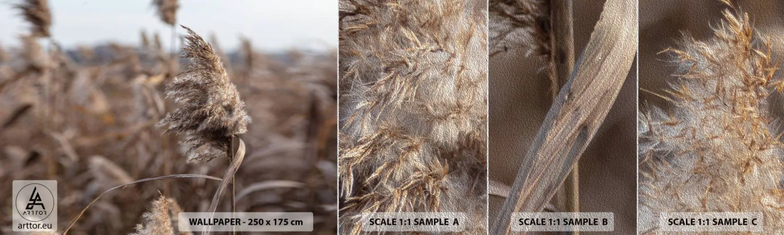 Fotótapéta Minta Premium Sand - Ideje elrepülni a széllel - Rét, Pampas fű, Természet - 100x30 cm