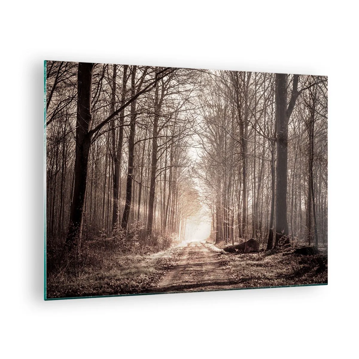 Üveg kép - Erdei út a reggeli ködben - 70x50cm - Erdei katedrális - Modern fali dekoráció nappalihoz és hálószobához ARTTOR