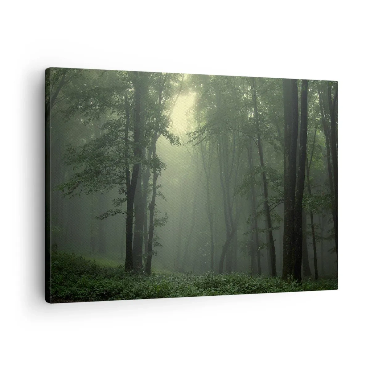 Vászonkép - Egy zöld erdő reggelente finom ködbe burkolózik - 70x50cm - Mielőtt felébred - Modern fali dekoráció nappalihoz és hálószobához ARTTOR