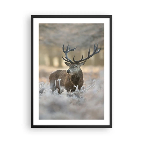 Poszter fehér keretben - Egy méltóságteljes szarvas téli erdős környezetben - 50x70cm - Friss reggel - Modern fali dekoráció nappalihoz és hálószobához ARTTOR