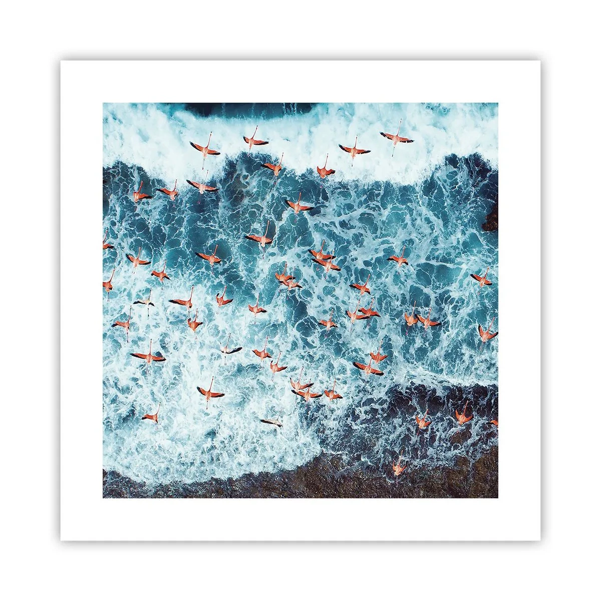 Poszter - A tengerparti parádé - 40x40 cm