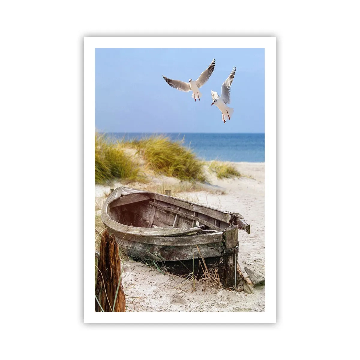 Poszter - Szélben fürödve - 61x91 cm